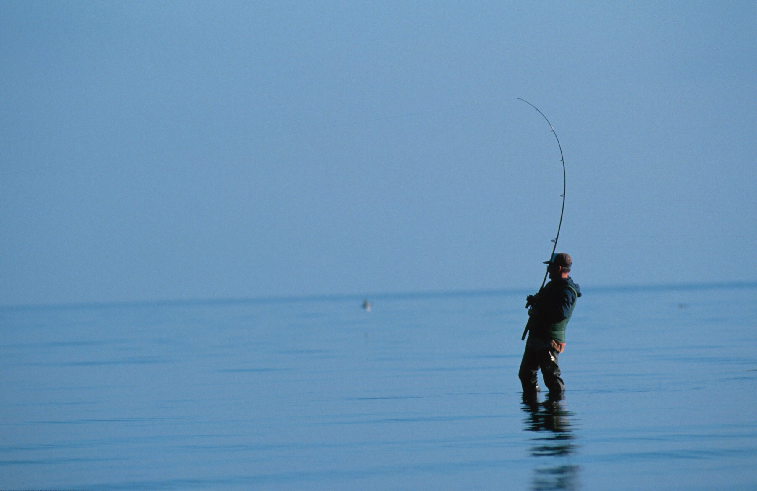 Saltwater Fishing