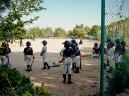Joe Sottolano-Baseball Teams