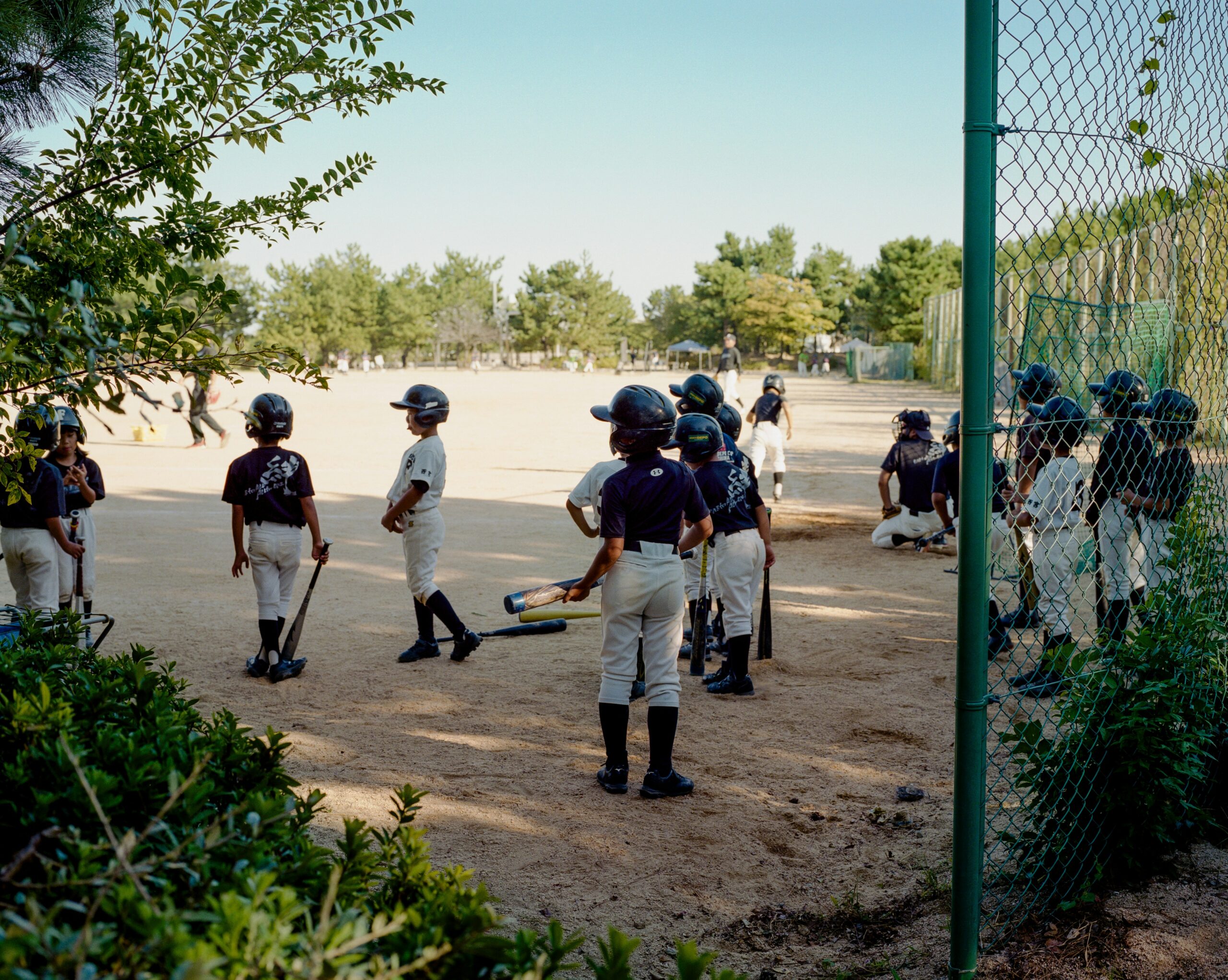 Joe Sottolano-Baseball Teams