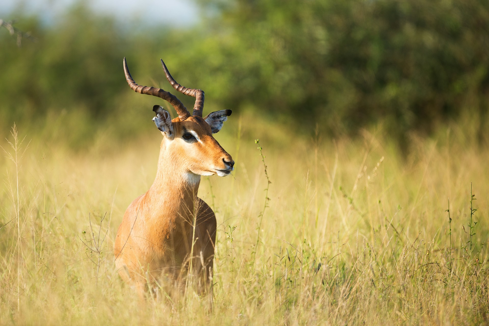 Sustainable Hunting Practices