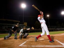 Joe Sottolano:Baseball